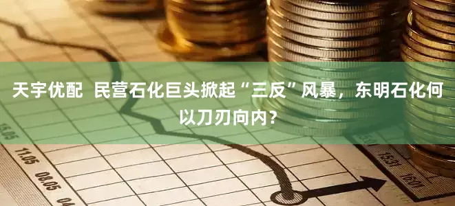 天宇优配  民营石化巨头掀起“三反”风暴，东明石化何以刀刃向内？