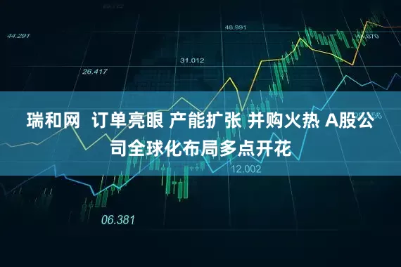 瑞和网  订单亮眼 产能扩张 并购火热 A股公司全球化布局多点开花